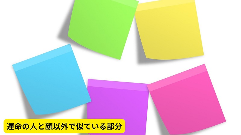 運命の人と顔以外で似ている部分