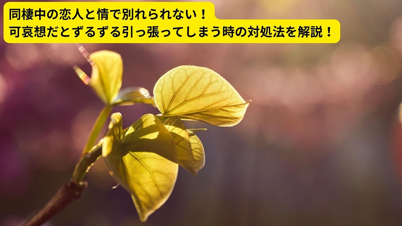 同棲中の恋人と情で別れられない！可哀想だとずるずる引っ張ってしまう時の対処法を解説！