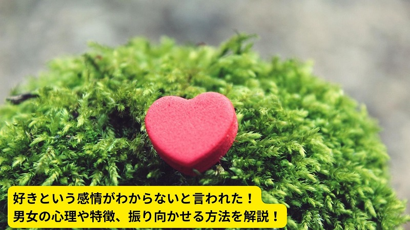 好きという感情がわからないと言われた！男女の心理や特徴、振り向かせる方法を解説！