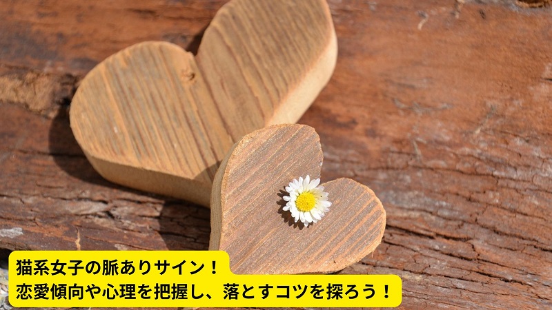 猫系女子の脈ありサイン！恋愛傾向や心理を把握し、落とすコツを探ろう！