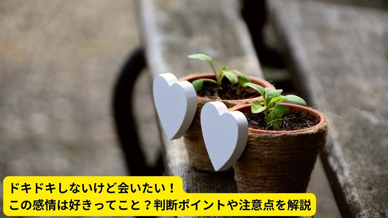 ドキドキしないけど会いたい！この感情は好きってこと？判断ポイントや注意点を解説